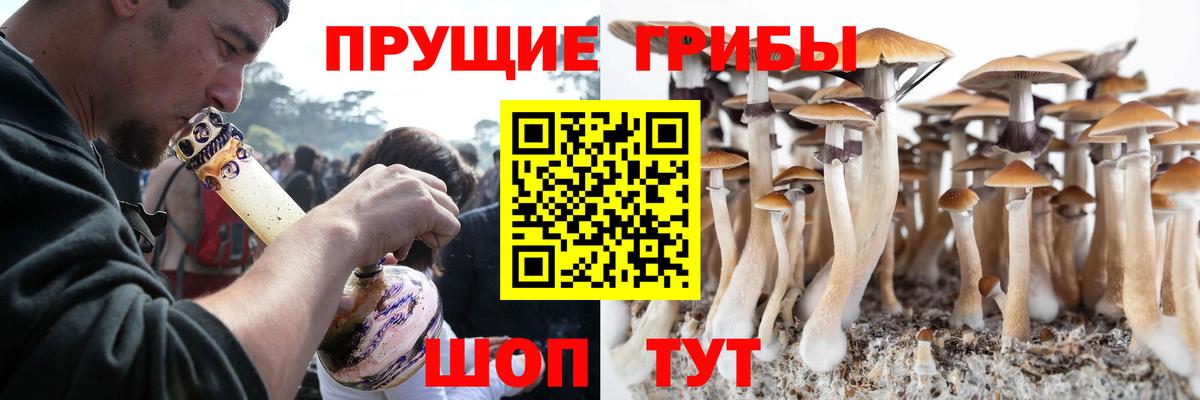 Псилоцибиновые грибы Psilocybe  Вход с VPN  Ипатово 